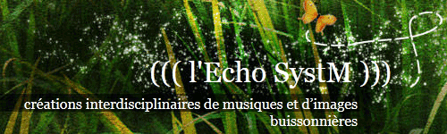 ((( l'Echo SystM )))